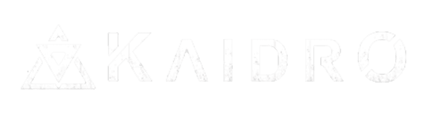 https://kaidro.com/